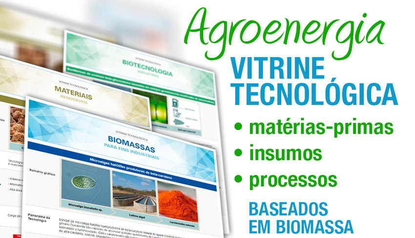 vitrine agroenergia
